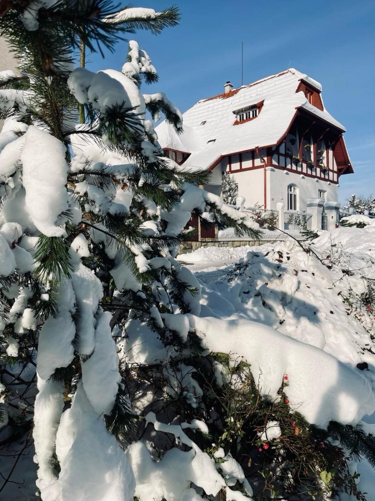 Ubytovani Javorka Ceska Trebova Exteriér fotografie
